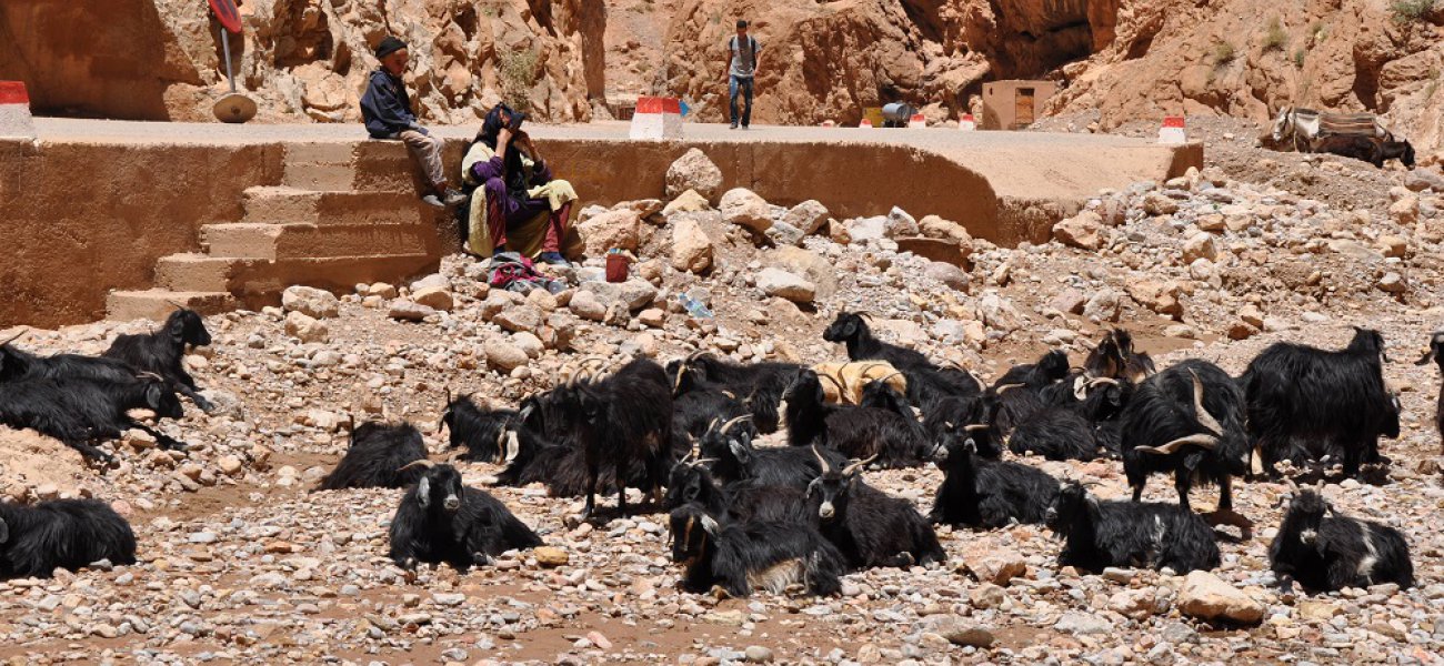 Las gargantas del Todra en Marruecos