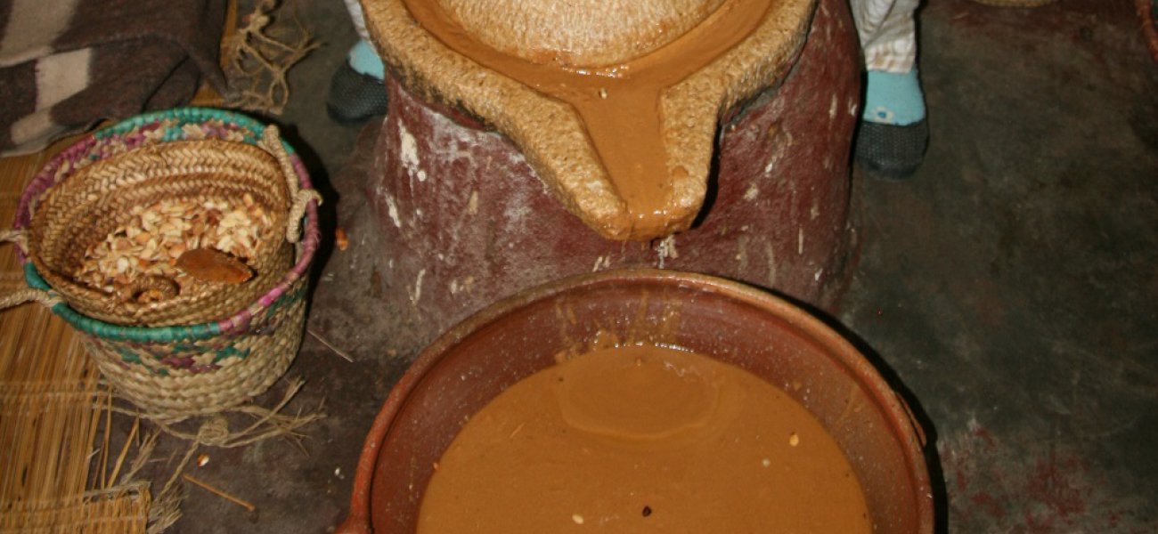 El aceite de argán: los secretos del oro líquido de Marruecos – SETEM MCM