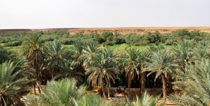 ¡Vacaciones en Marruecos!