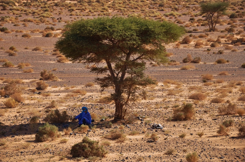 ¡Marruecos es África!