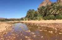 Oasis Fint, un paraje al lado de la ciudad de Ouarzazate