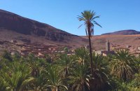 Oasis Fint, un paraje al lado de la ciudad de Ouarzazate