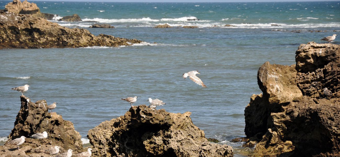 Qué ver en Essaouira