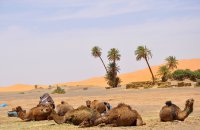 Viajar a Marruecos por primera vez