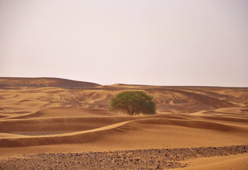 Sahara at Chigaga from Marrakesh