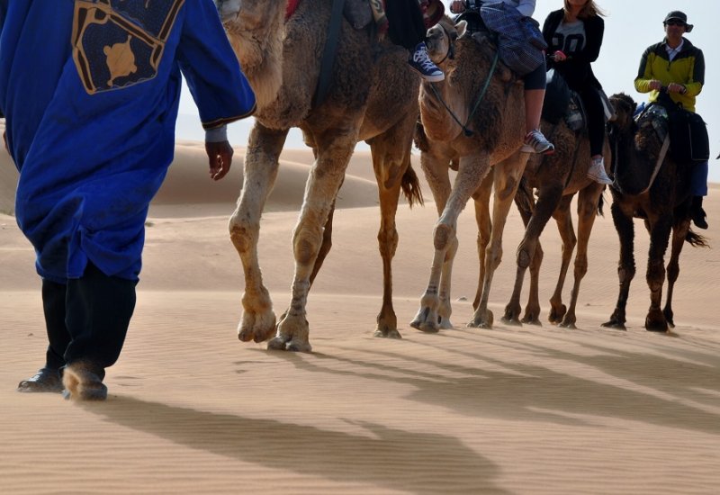 Fez to Marrakesh via the Sahara 4 days / 3 nights