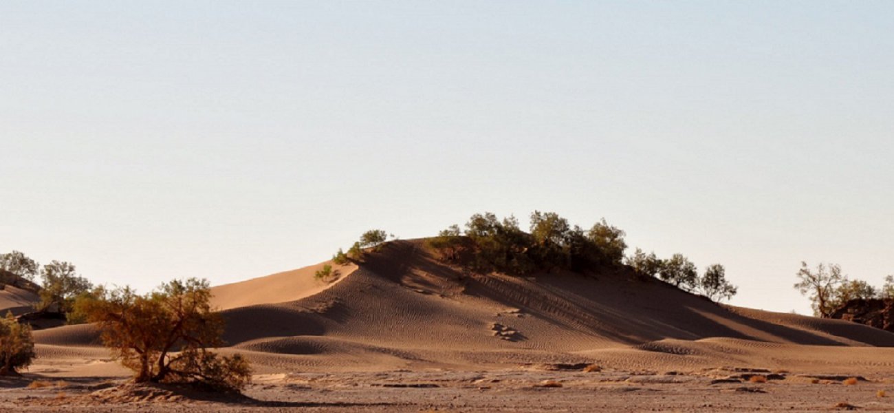 Ruta de aventura por Marruecos - Marrakech / Desierto de Chigaga -