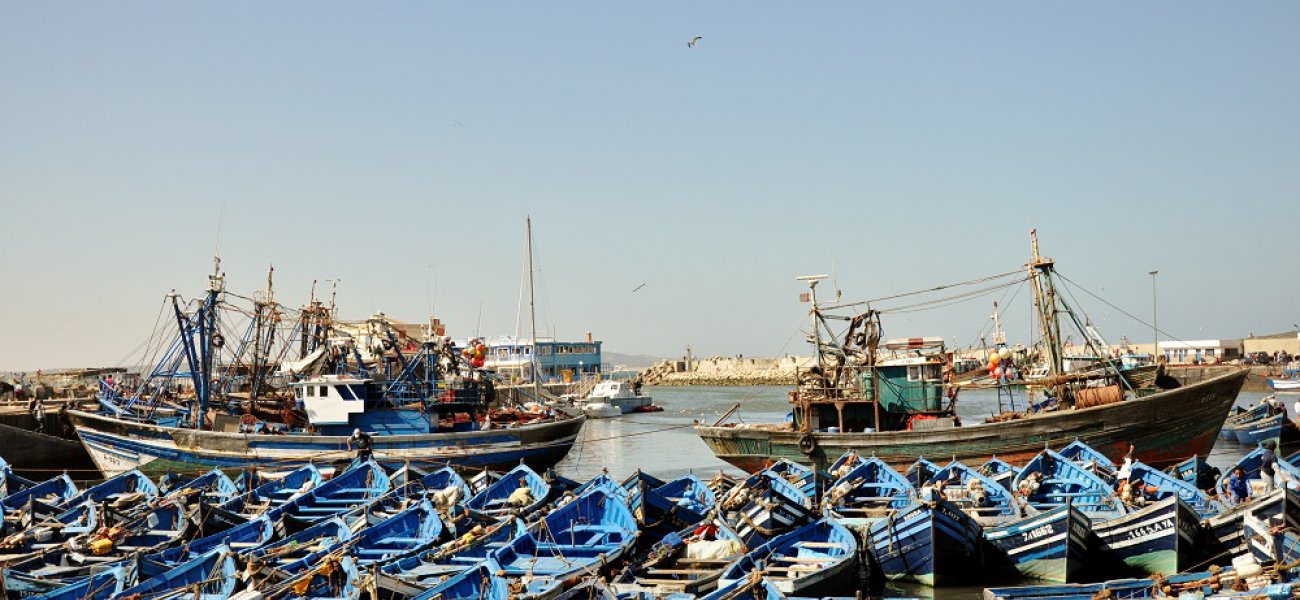 Excursión a Essaouira (Costa Atlántica)